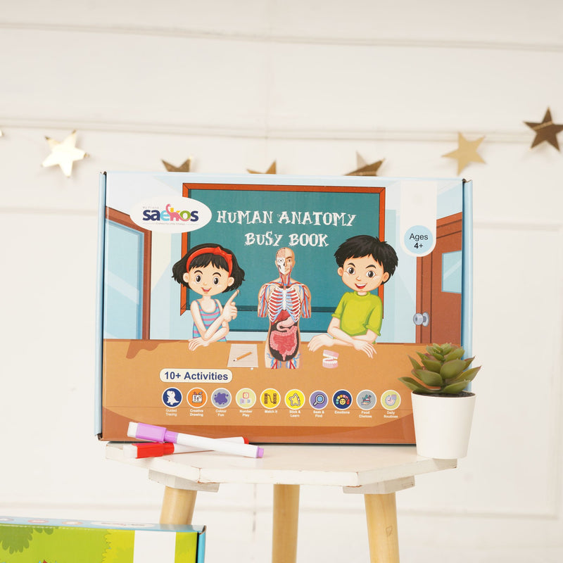 Saekos Human Anatomy Busy Book – main cover image for kids aged 3–6