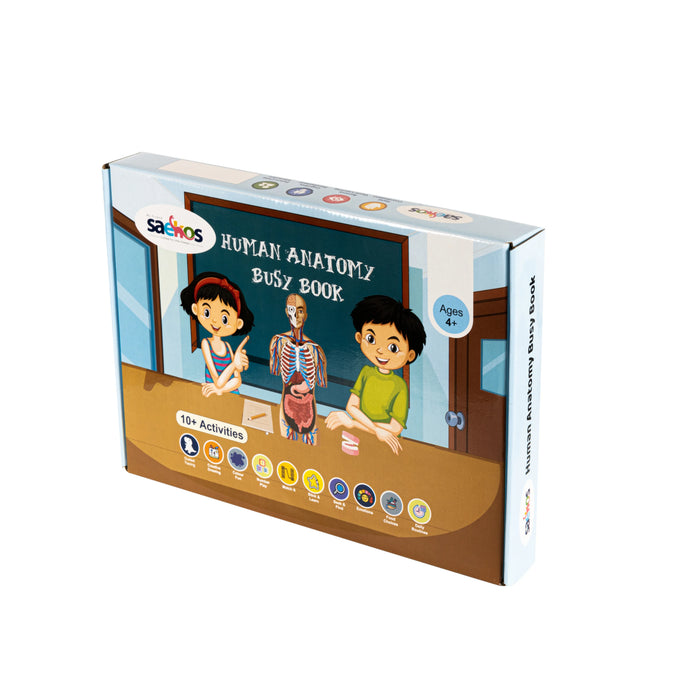 pack of 2 ( 1+3)